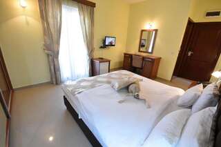 Отель Hotel Ellena Херцег-Нови Двухместный номер с 1 кроватью-7